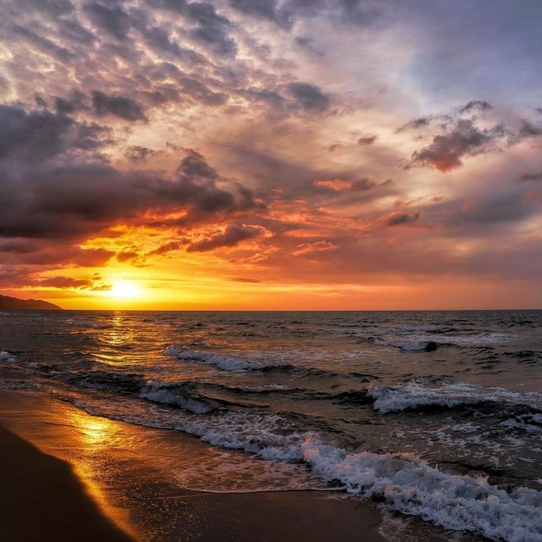 Villa Vis A Vis Trzęsacz Dış mekan fotoğraf
